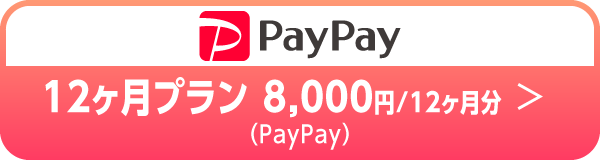 12ヶ月プラン