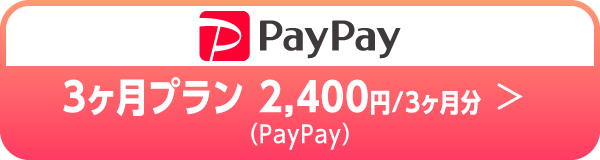 3ヶ月プラン