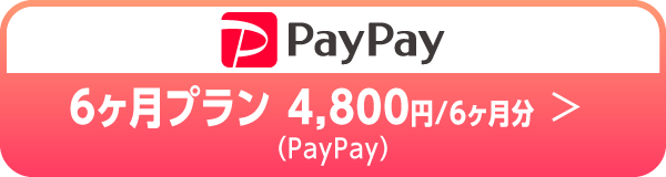 6ヶ月プラン